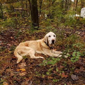 Meet your Posher, Nicki